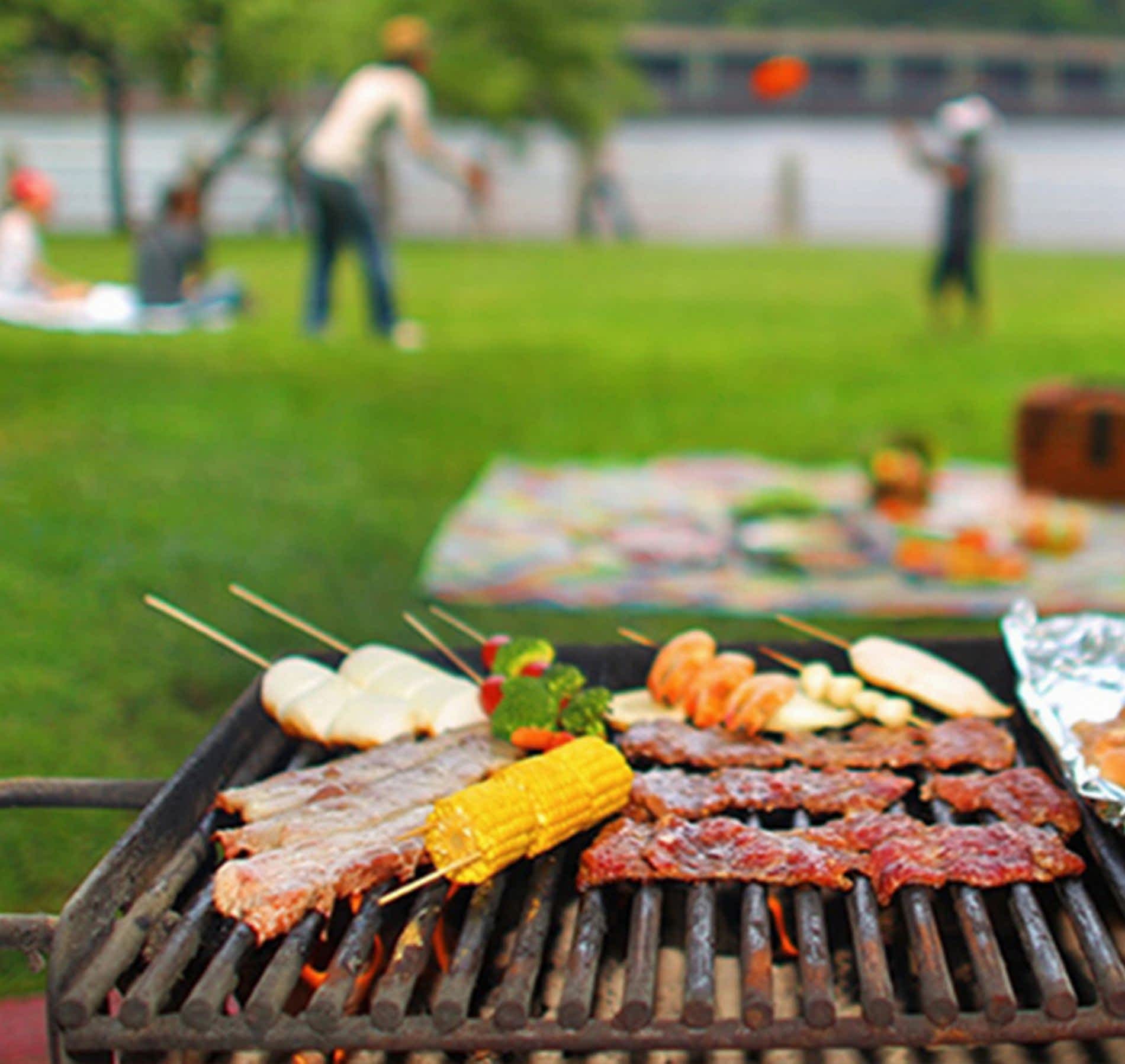 PİKNİK ETKİNLİKLERİ / BAHÇE PARTİLERİ / BARBEKÜ HİZMETLERİ